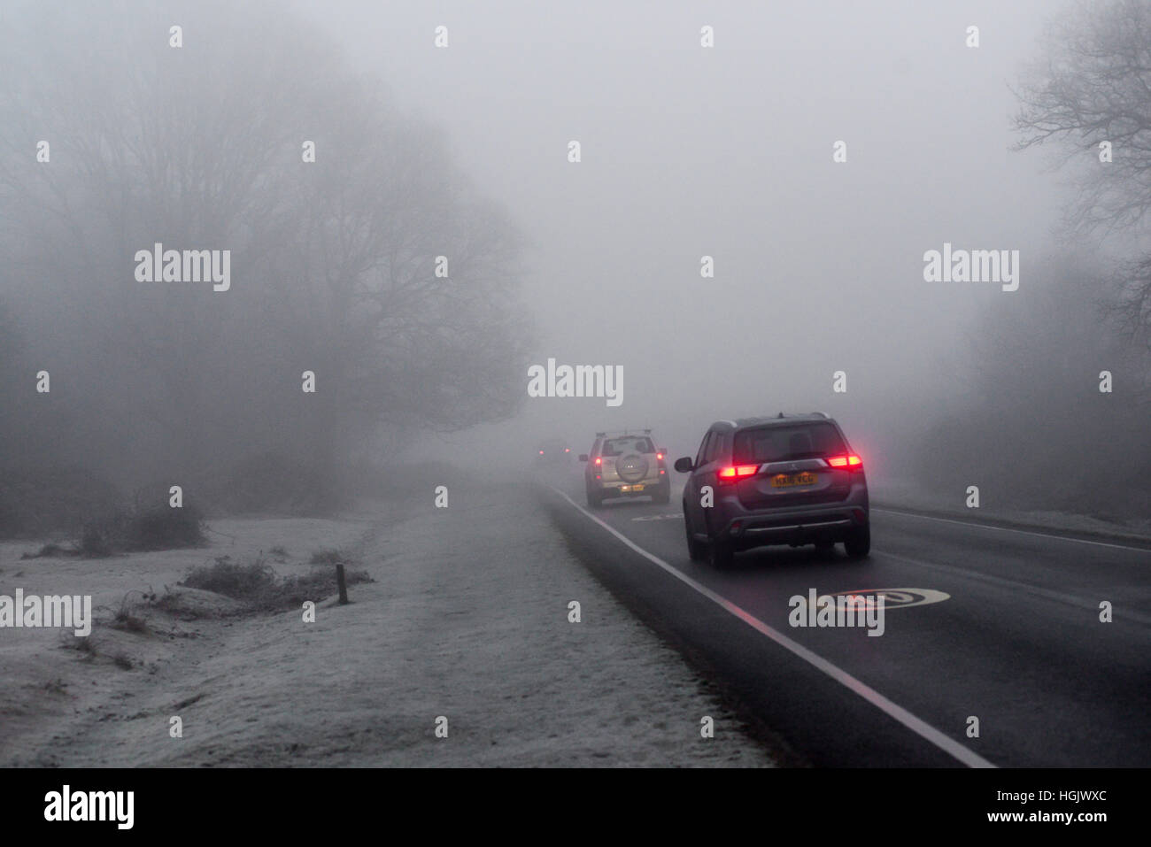 Godshill, New Forest, Hampshire, Regno Unito. 23rd Gennaio 2017. Meteo. Guida in nebbia. I fendinebbia dell'auto brillano grazie alla fitta nebbia gelida che rende pericolose le condizioni di guida per i conducenti in una mattinata d'inverno. Foto Stock