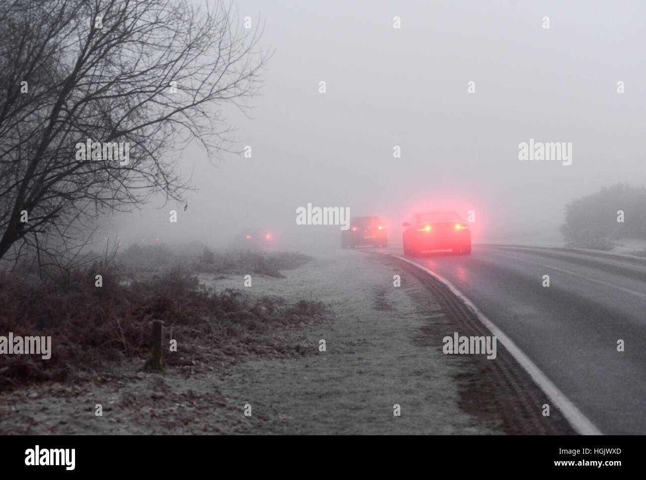Godshill, New Forest, Hampshire, Regno Unito. 23rd Gennaio 2017. Meteo. Guida in nebbia. I fendinebbia dell'auto brillano grazie alla fitta nebbia gelida che rende pericolose le condizioni di guida per i conducenti in una mattinata d'inverno. Foto Stock