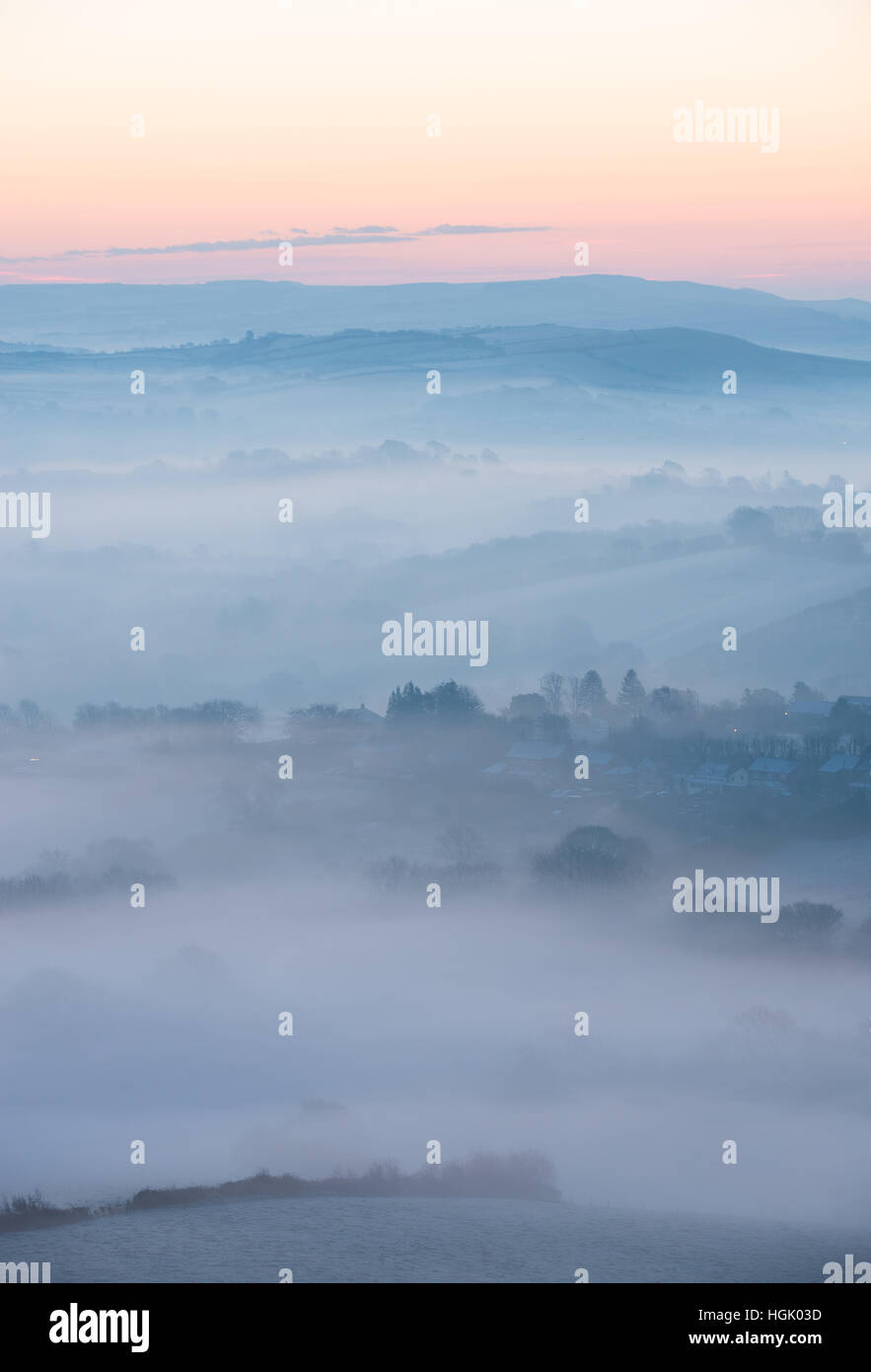 Misty sunrise a Colmers Hill, vicino a Bridport, Dorset, Regno Unito. Il 23 gennaio 2017. Un colorato e nebbioso inverno alba alla collina Colmers guardando verso Bridport. © Dan Tucker/Alamy Live News Foto Stock
