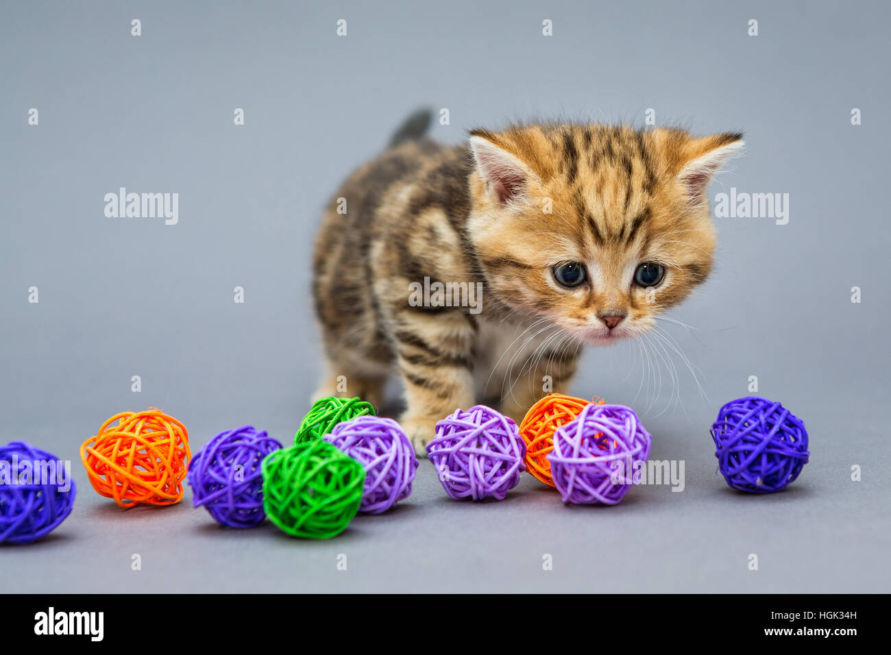 Piccolo gattino British riproduce in marmo con sfere Foto Stock