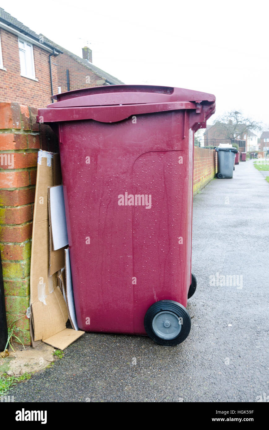 Gli scomparti di riciclaggio fuori per la raccolta su bin giorno. Foto Stock