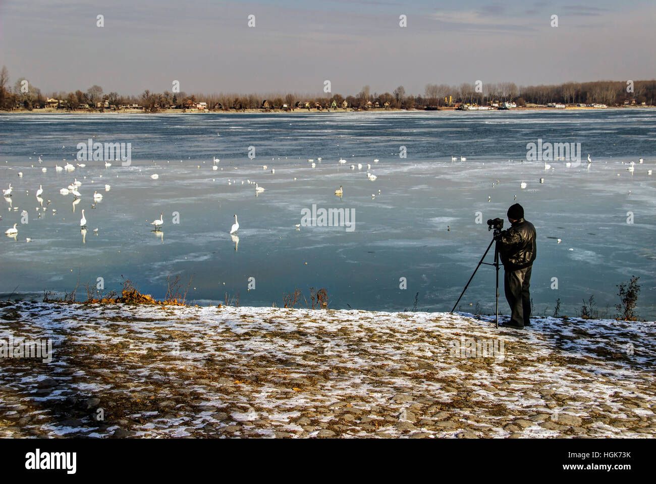 Serbia - Un fotografo caccia agli uccelli sulla superficie ghiacciata del fiume Danubio Foto Stock