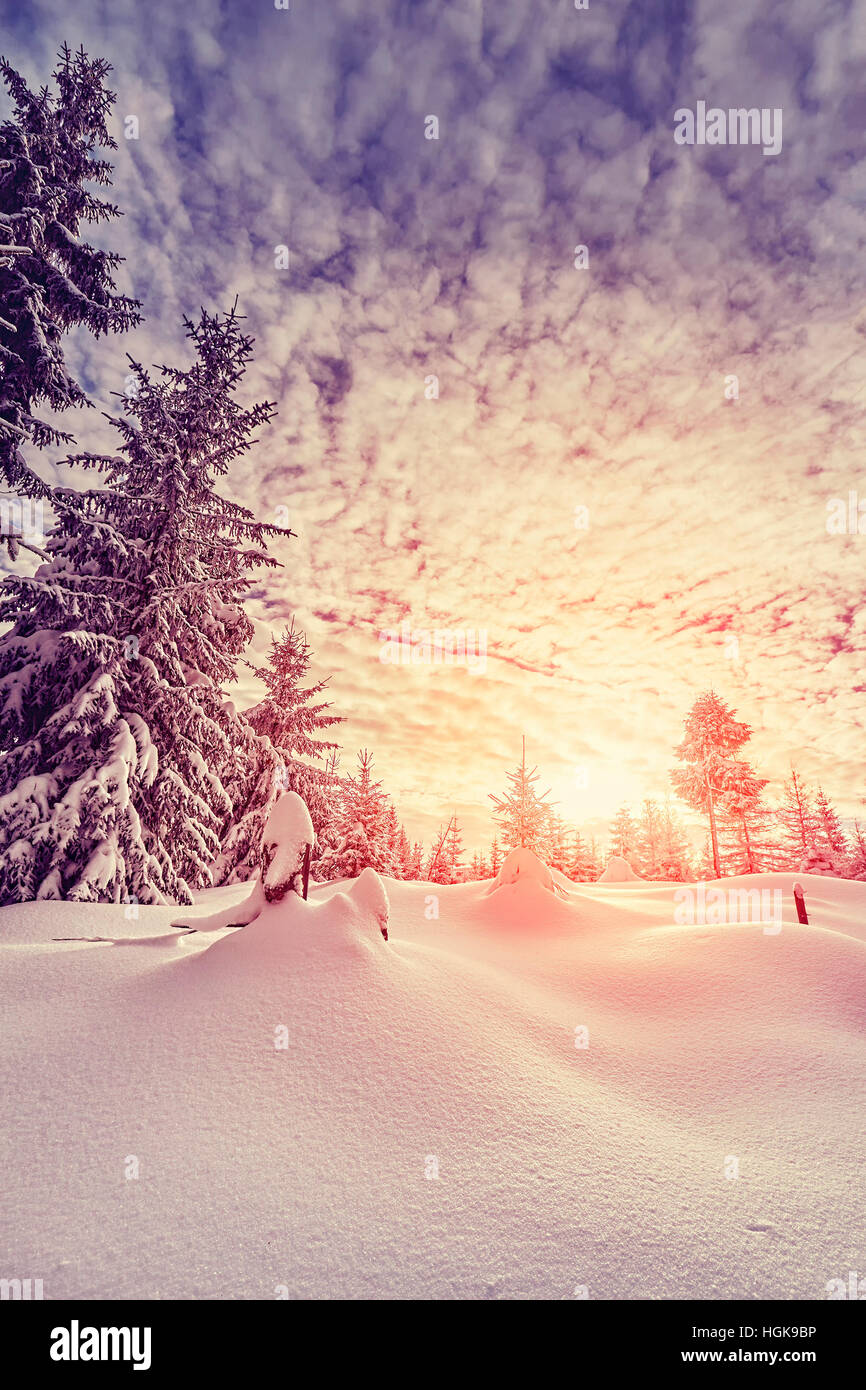 Il colore nei toni del paesaggio invernale con coperta di neve alberi al tramonto. Foto Stock