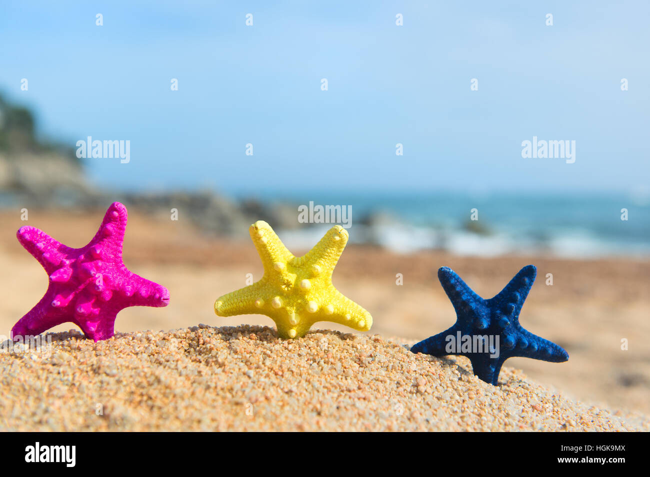Rosa gialla e blu permanente starfishes in spiaggia Foto Stock