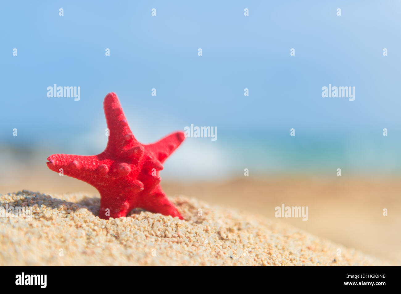 Stella Rossa in piedi presso la spiaggia Foto Stock