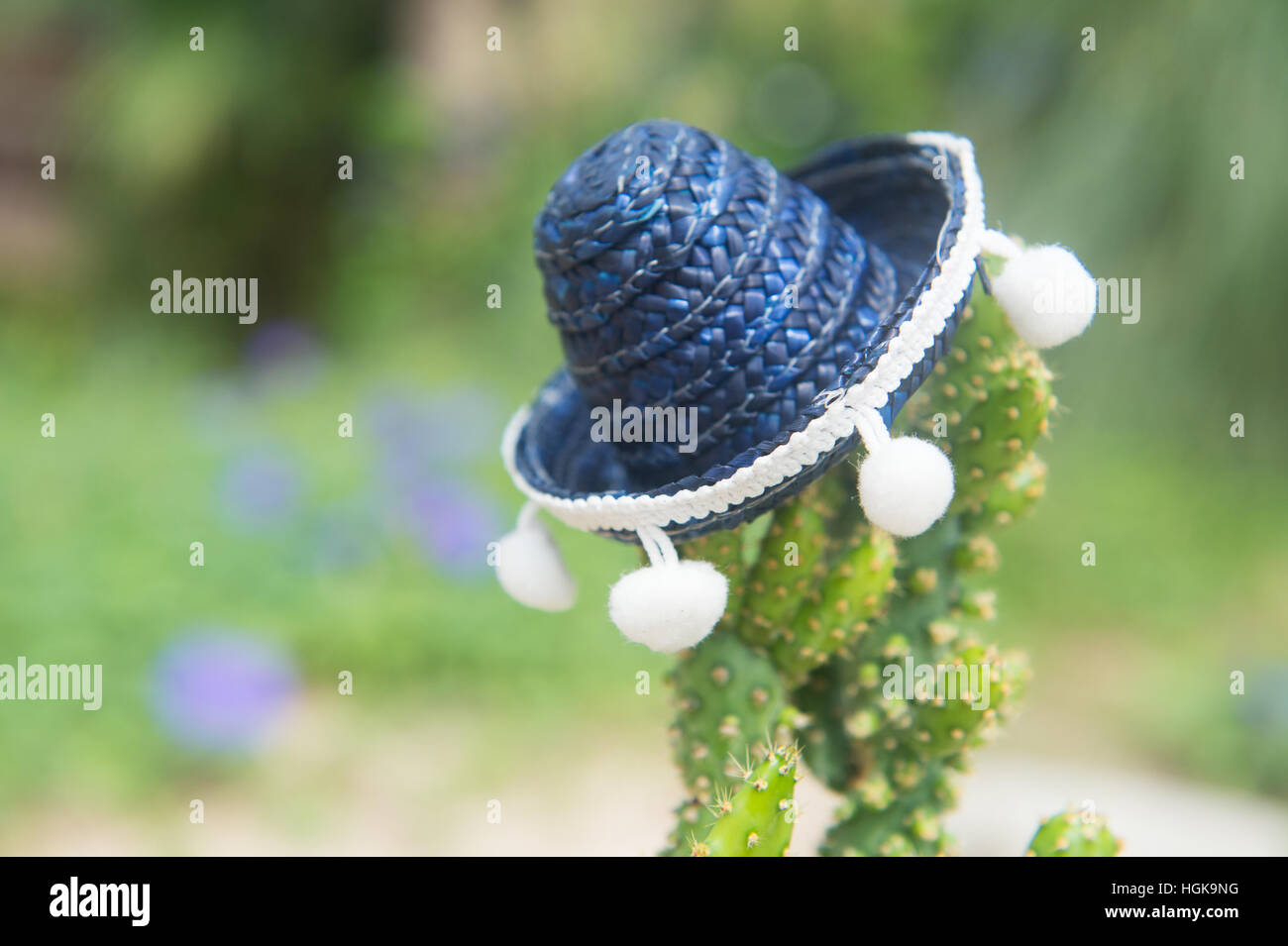 Sombrero spagnolo hat su cactus Foto Stock