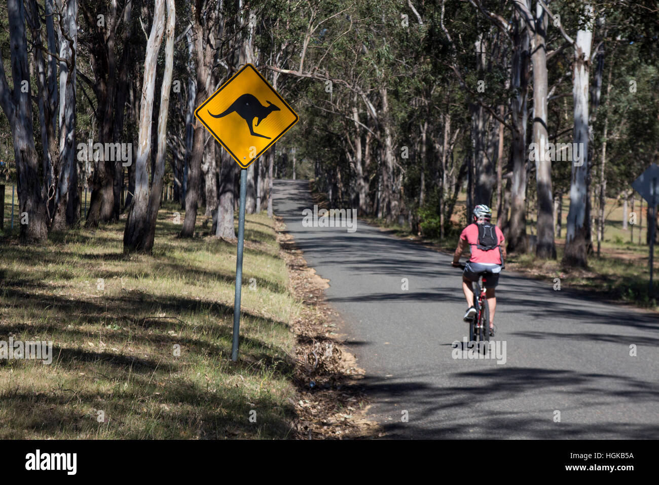 Ciclista maschio passando kangaroo cartello stradale sulla strada di campagna la Hunter Valley New South Wales NSW Australia Foto Stock