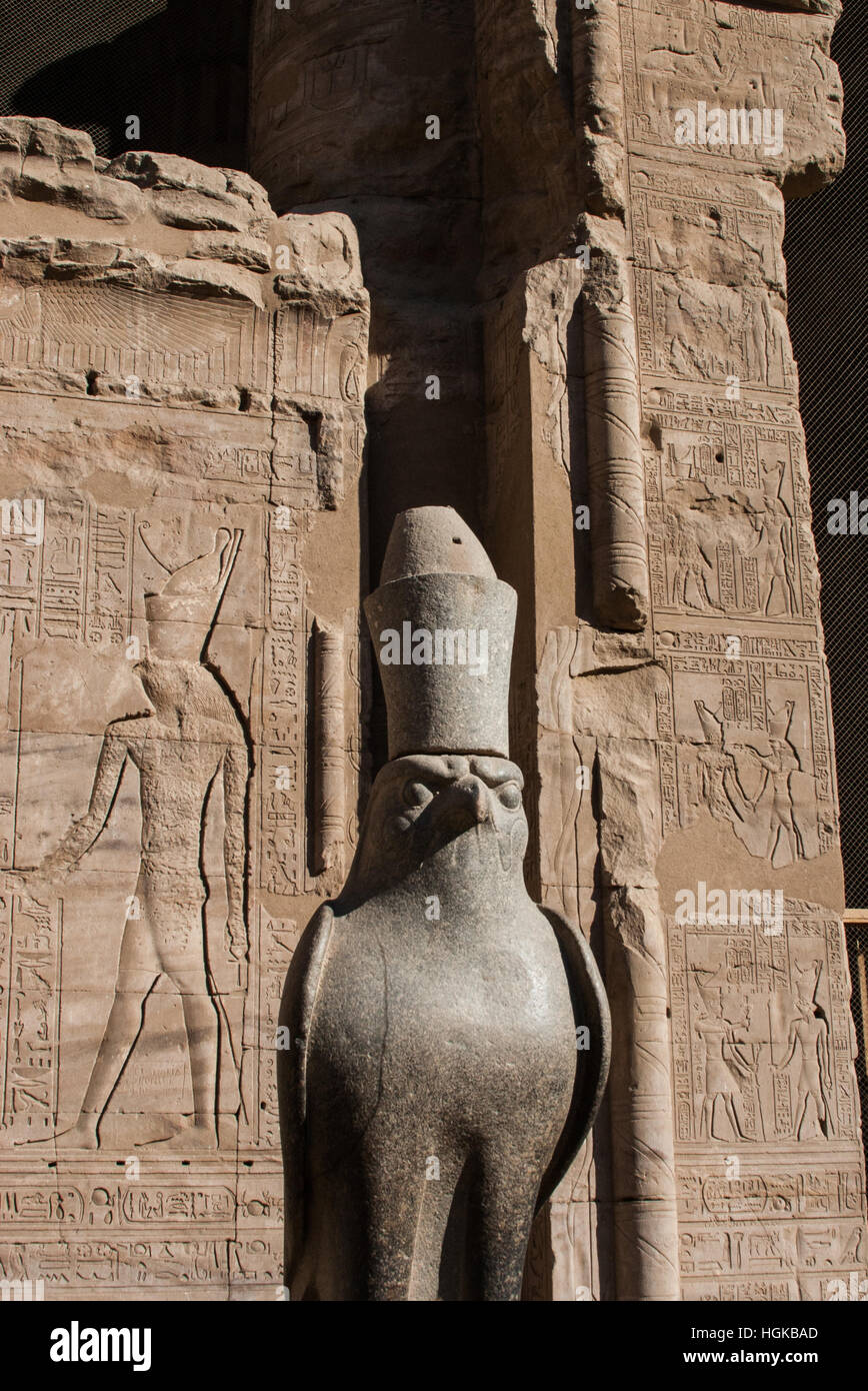 Una statua del dio falco Horus, al suo tempio di Edfu. Questo fiume Nilo tempio è uno dei meglio conservati e più popolari. Foto Stock