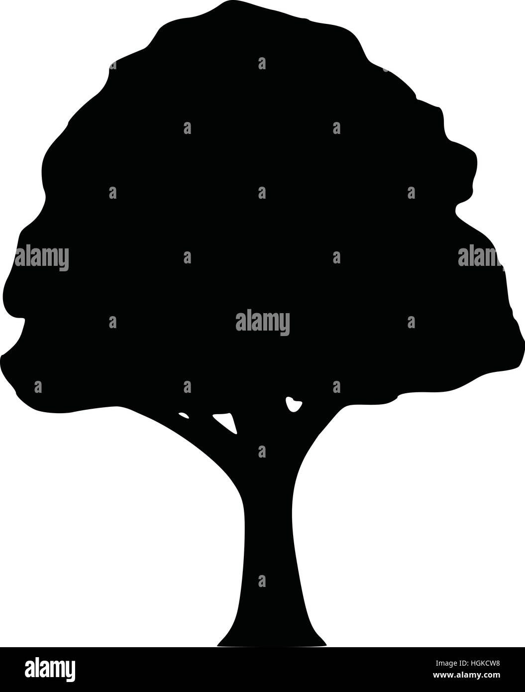 Silhouette di un albero a foglie decidue Foto Stock