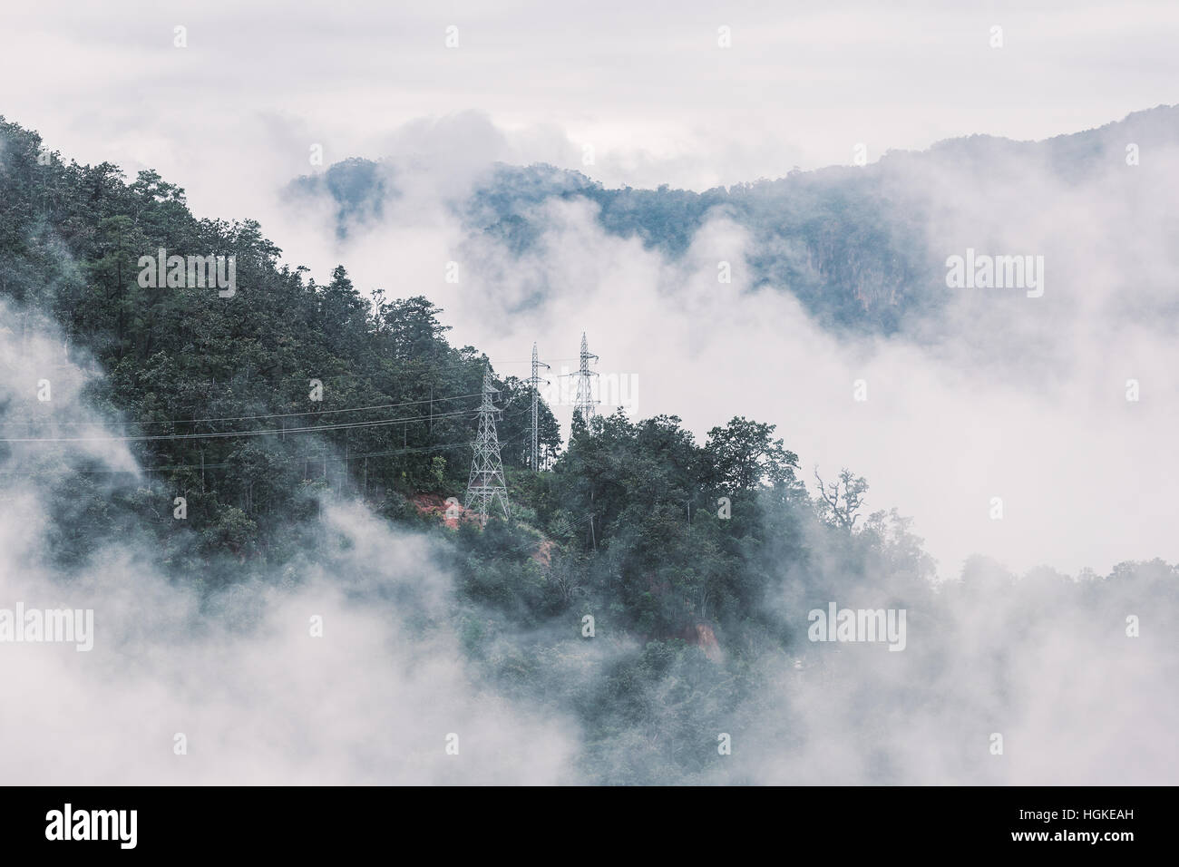 Scena di nebbia di foresta tropicale in montagna con torre di elettricità in tono dissaturata Foto Stock