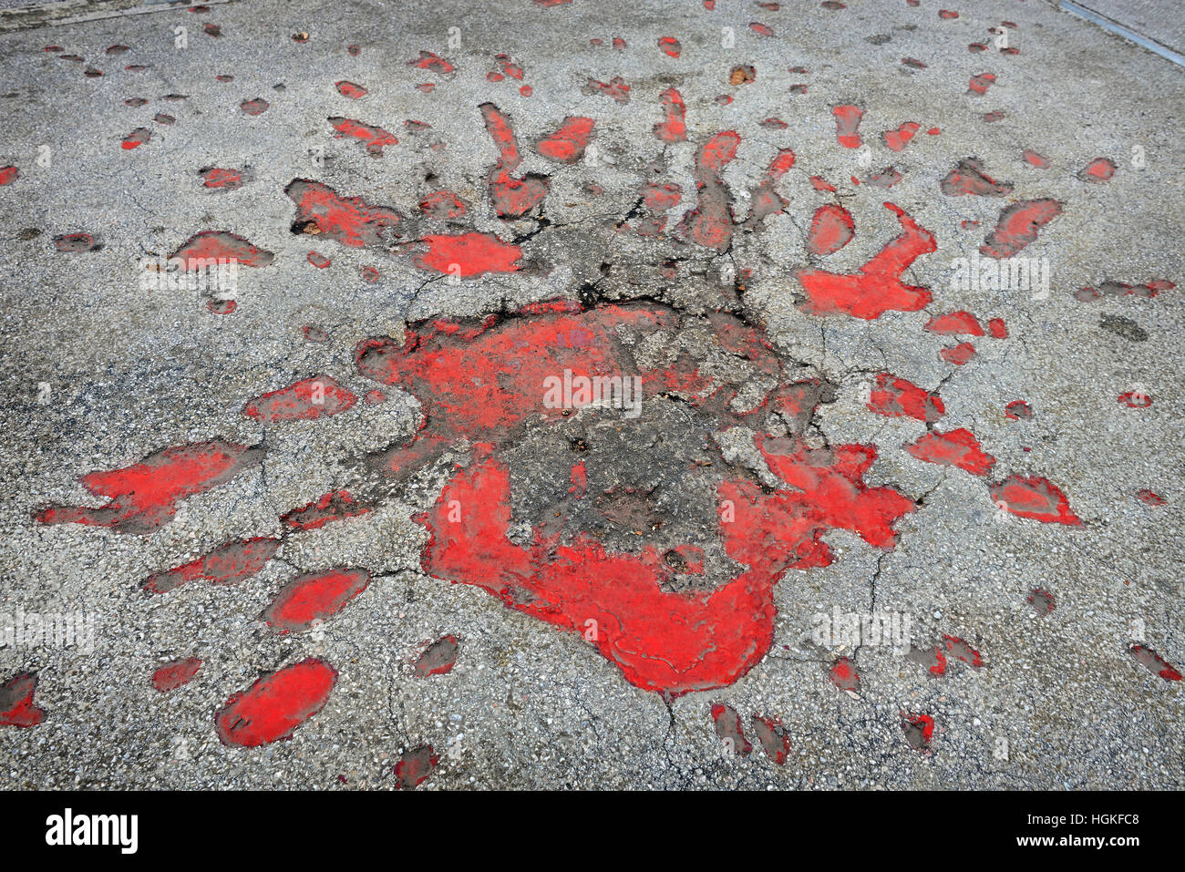 Rose di Sarajevo Foto Stock