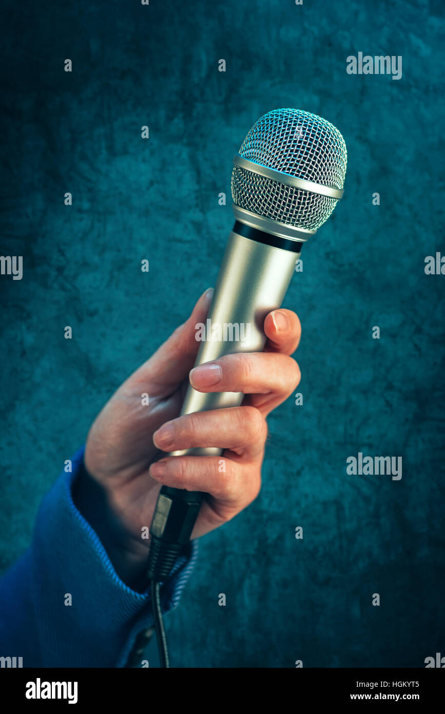 Elegante giornalista femmina la conduzione di affari intervista, mano con microfono Foto Stock