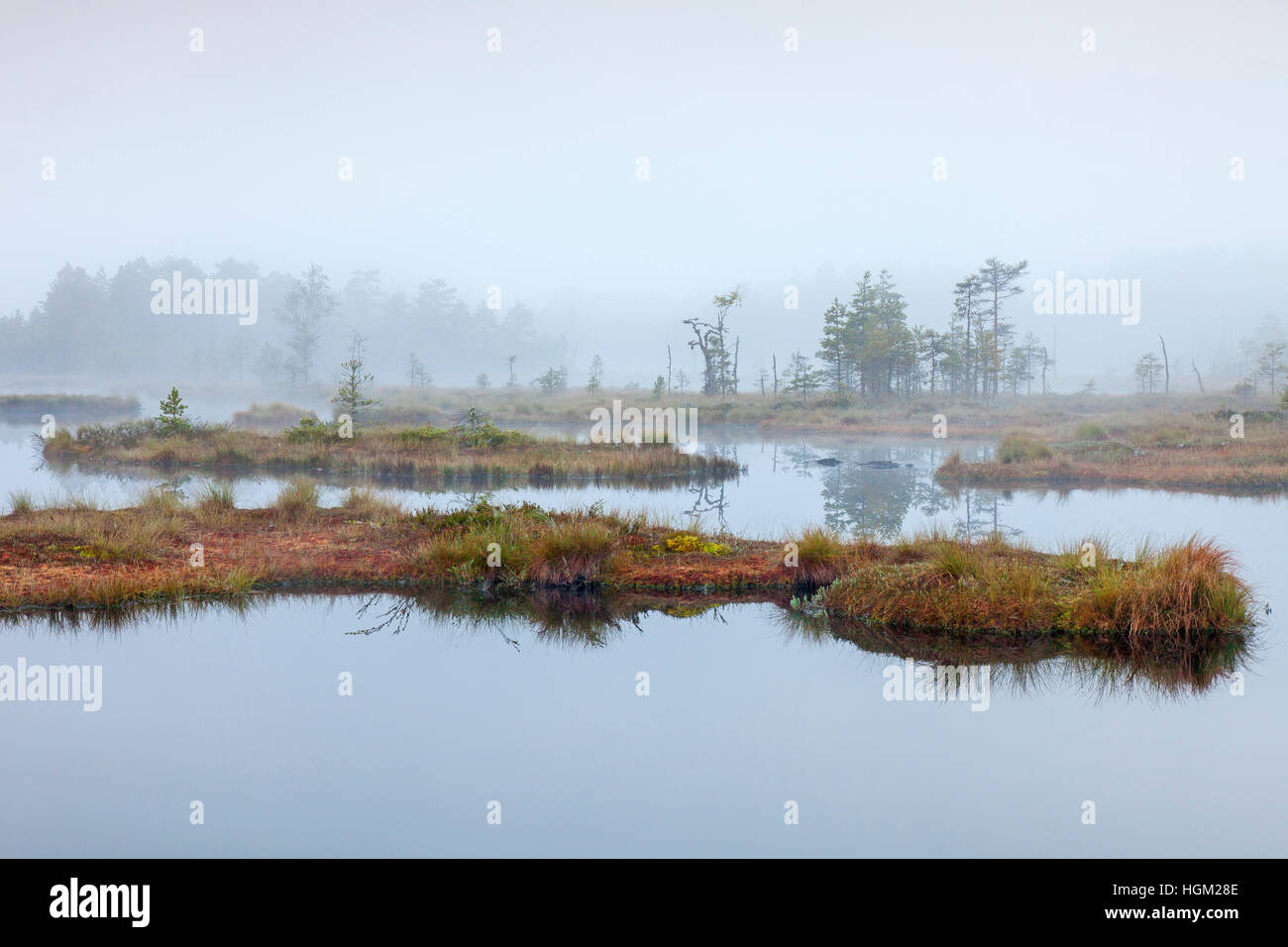 Stagno in brughiera del Knuthöjdsmossen / Knuthoejdsmossen riserva naturale in autunno, Västmanland, Örebro län, Svezia Foto Stock