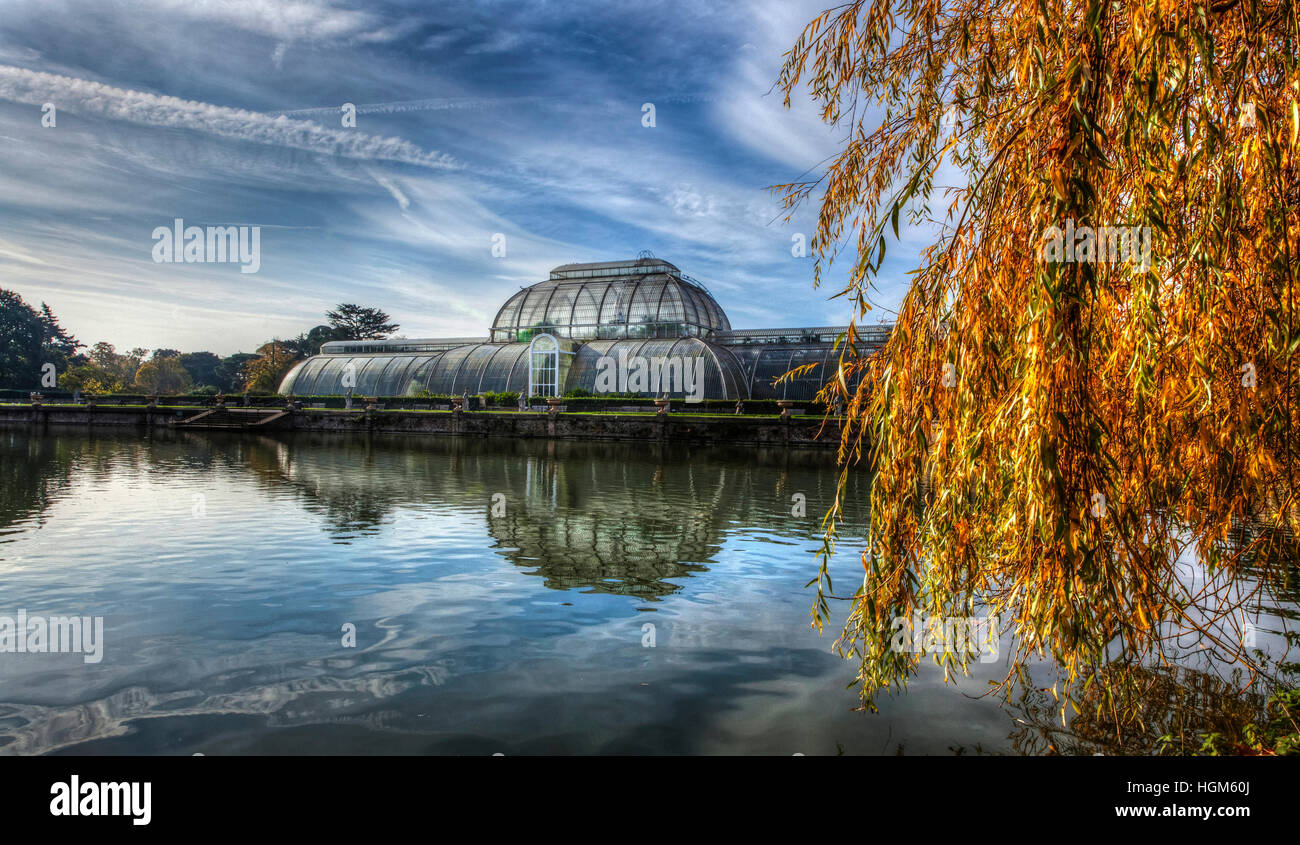 La Casa delle Palme Parterre con display floreali di circa 16.000 piante, Kew Royal Botanical Gardens, Richmond, Surrey, Inghilterra, GB, UK. Foto Stock