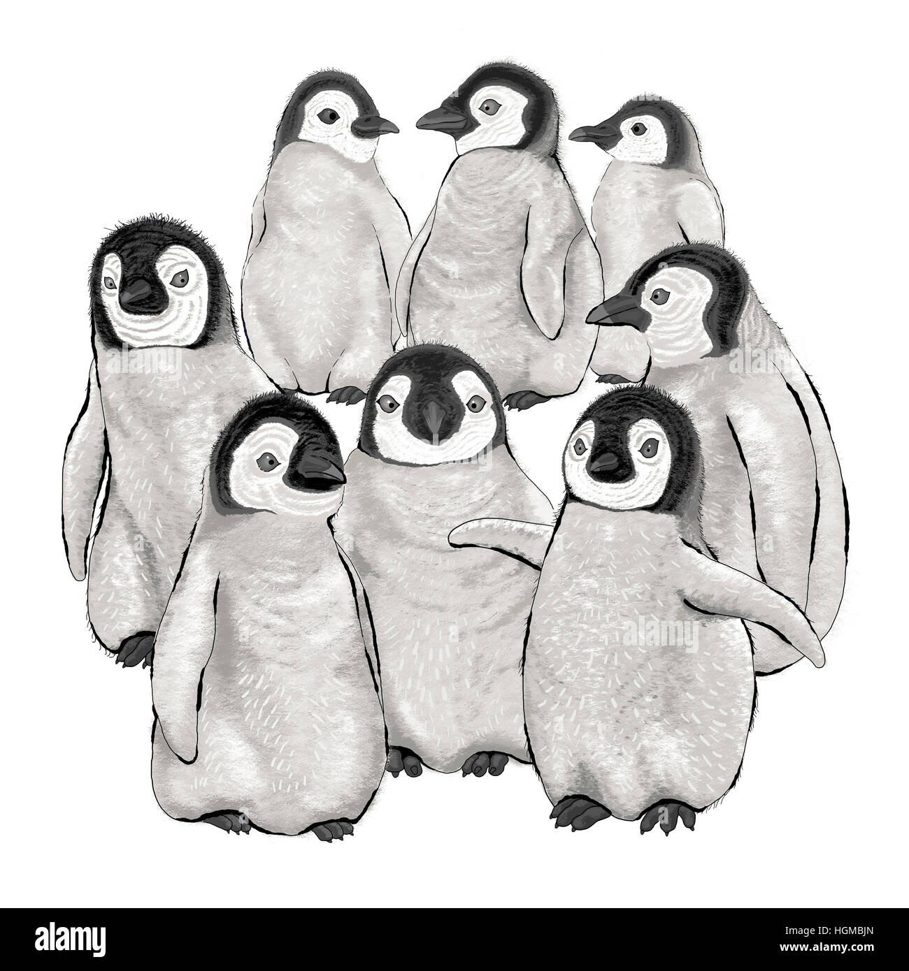 Una illustrazione di un gruppo di baby pinguini imperatore. Foto Stock