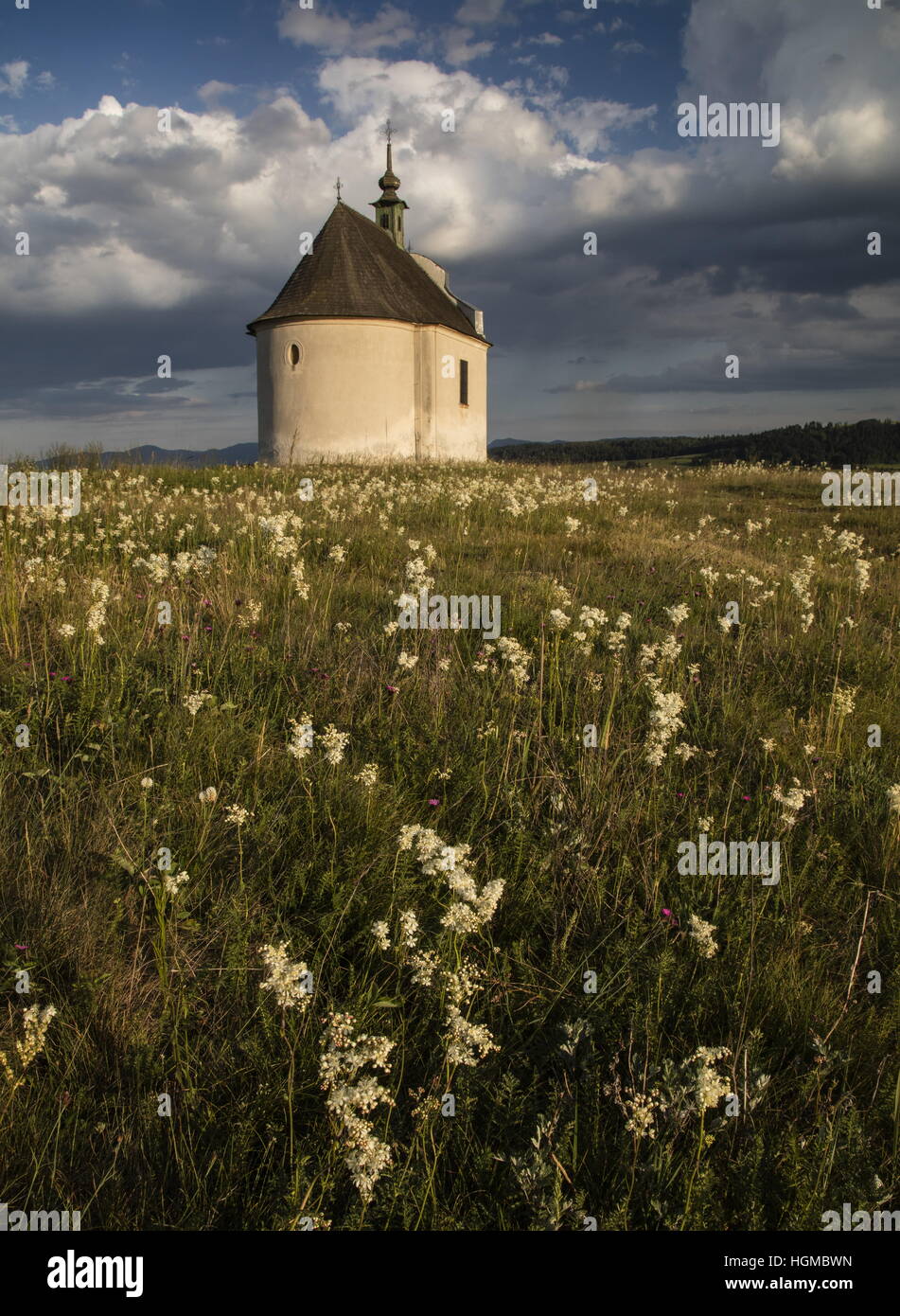 Siva Brada hill e la cappella; riserva naturale vicino a Levoca; travertino pascoli dominati da Dropwort. La Slovacchia. Foto Stock