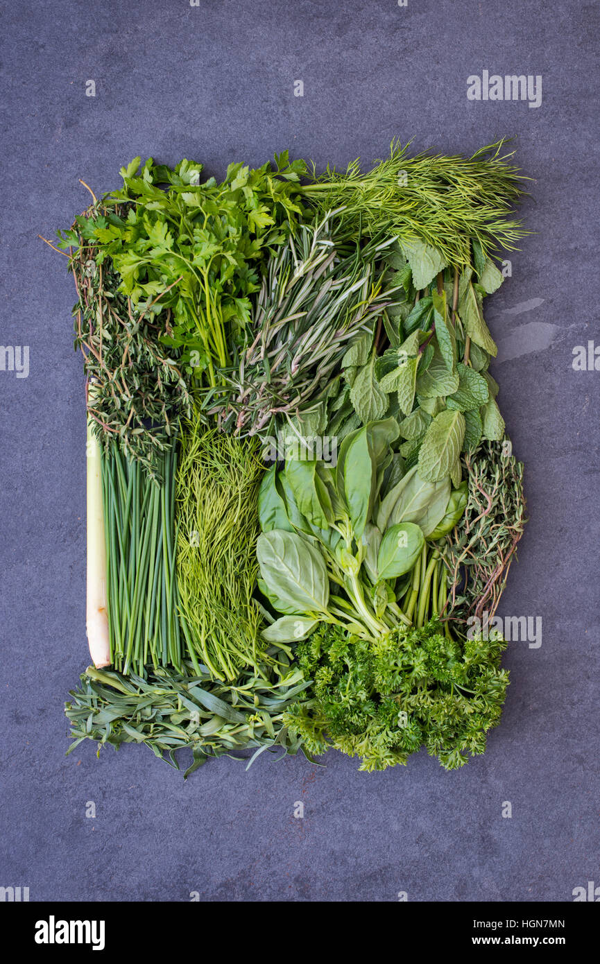 Le erbe fresche su un sfondo di ardesia Foto Stock