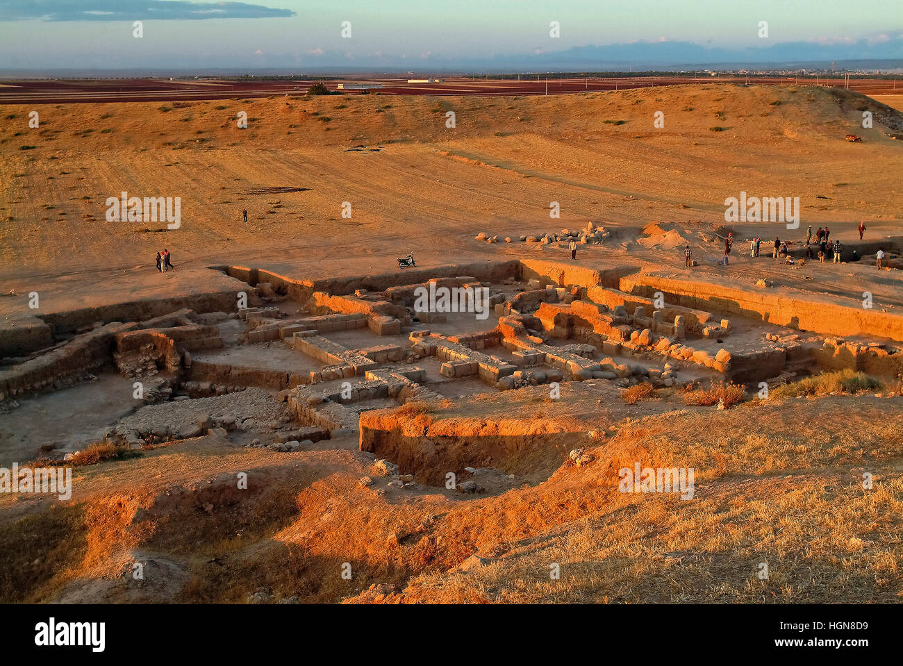 La siria palazzo occidentale del sito archeologico di Ebla Foto Stock