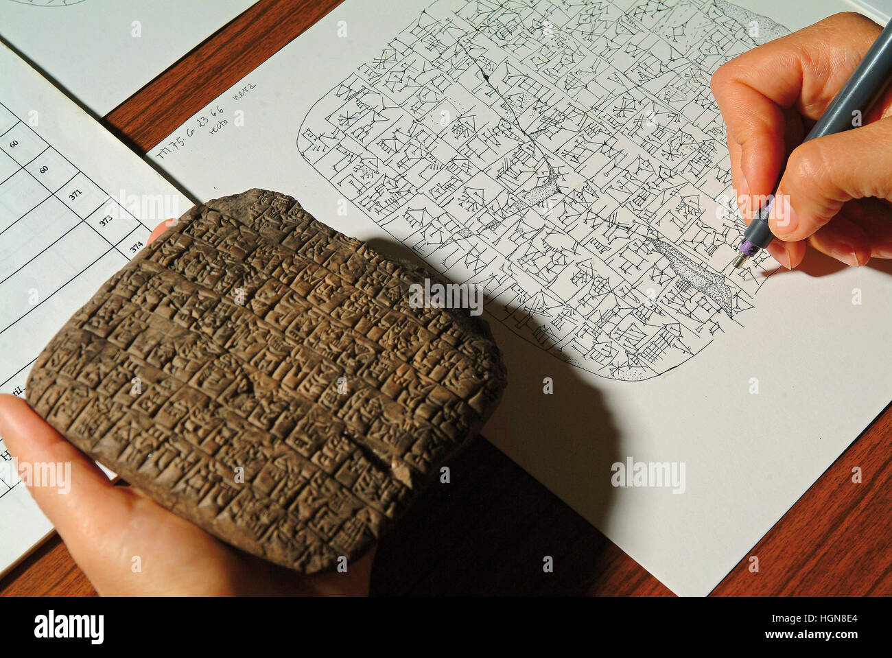 La siria con bordo cuneiforme Scropture trovare nel sito archeologico di Ebla Foto Stock