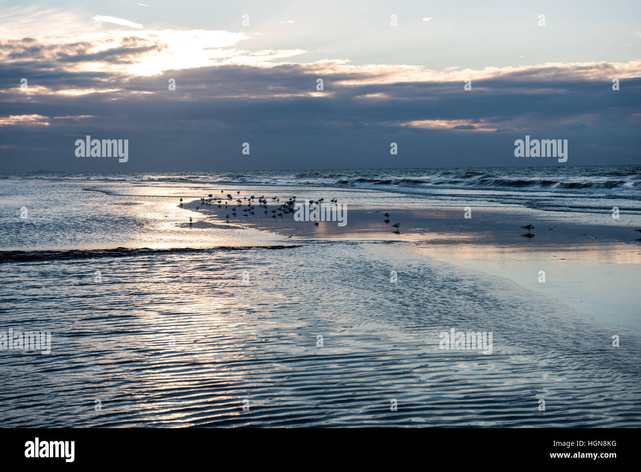 Tramonto con la riflessione sulla spiaggia di Koksijde, Belgio Foto Stock