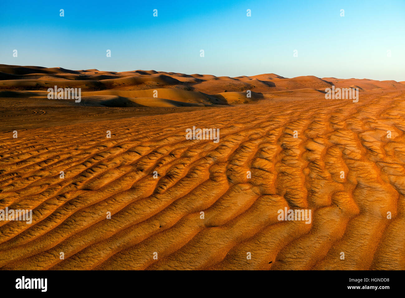Vista al tramonto del le dune di sabbia del Rub' al Khali desert, Al Ain, Emirati Arabi Uniti Foto Stock