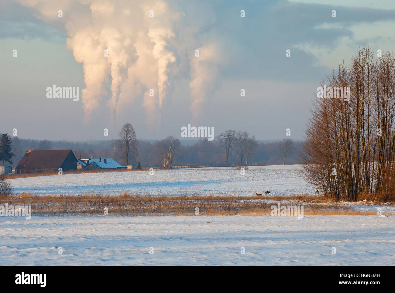 Emissioni di biossido di carbonio in atmosfera Foto Stock