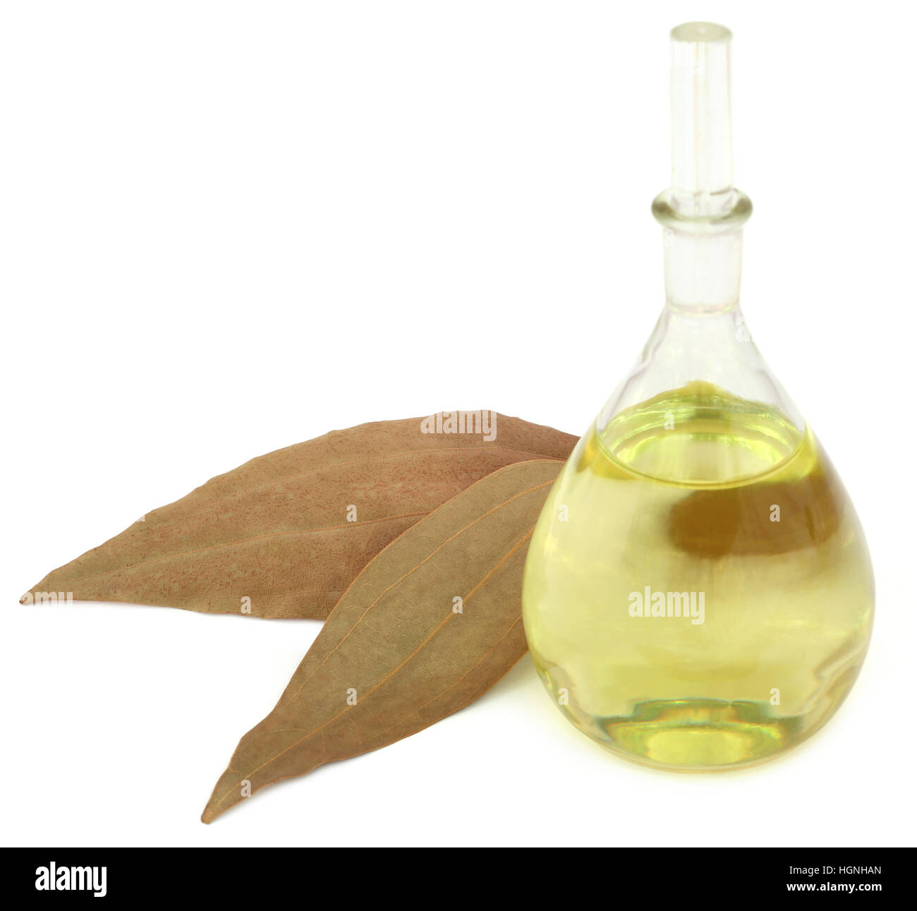Foglie di alloro con olio essenziale su sfondo bianco Foto Stock