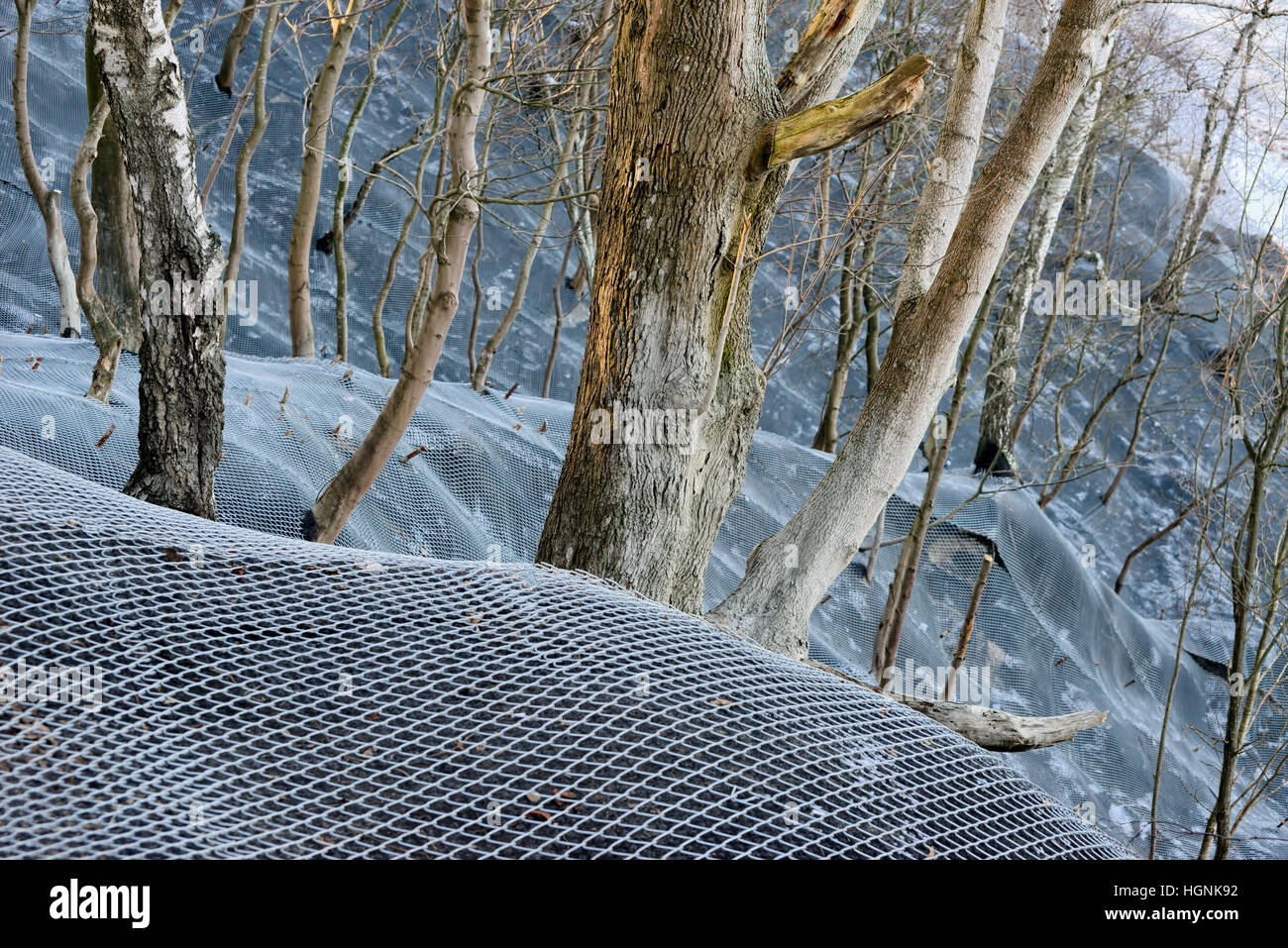 Pendio di montagna in metallo rinforzato maglia protettiva Foto Stock