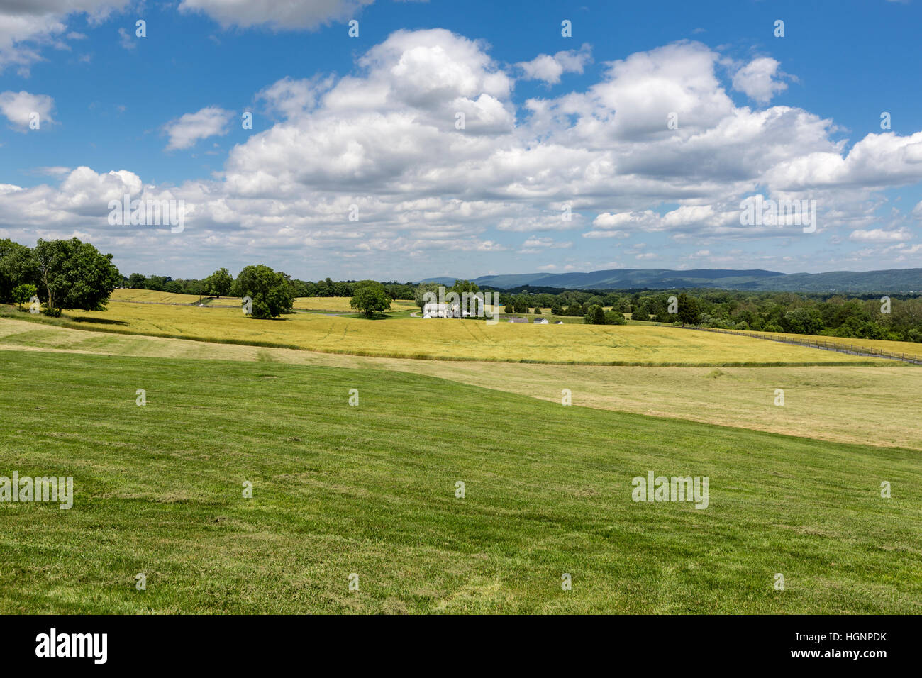 Campo di battaglia di Antietam, Maryland, guardando verso nord-est Mumma Farm. Foto Stock