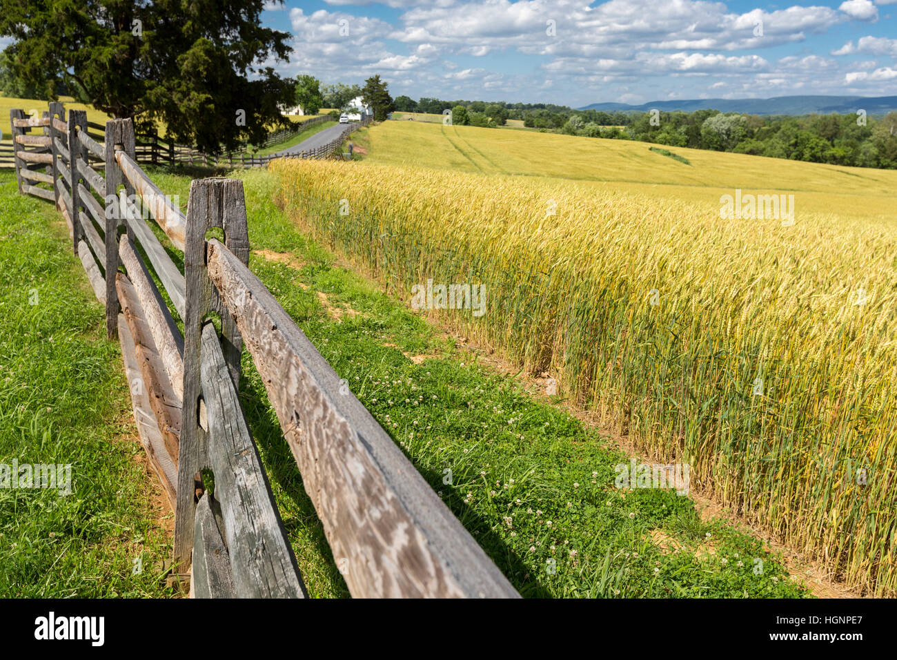 Antietam campi di battaglia della Guerra Civile, Maryland, guardando a nord. Campi coltivati oggi coprire il campo di battaglia. Foto Stock