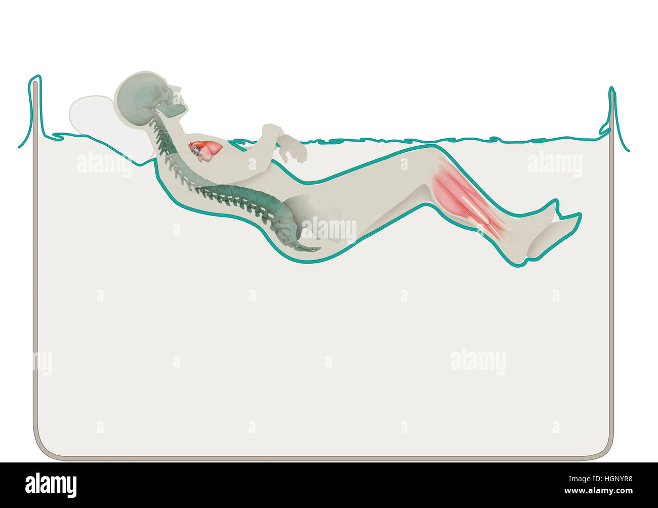 Studio di apesanteur Foto Stock