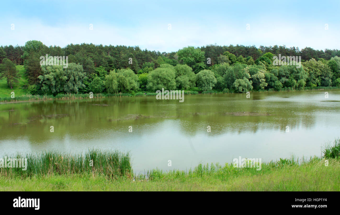Bella estate paesaggio con lago pittoresco nella foresta Foto Stock