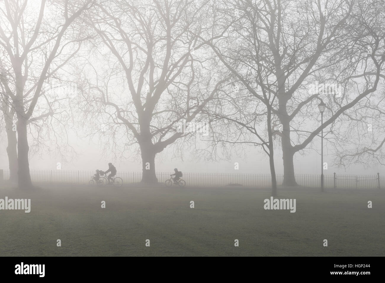 Un genitore e 2 bambini escursioni in bicicletta a scuola nella nebbia mattutina. Foto Stock