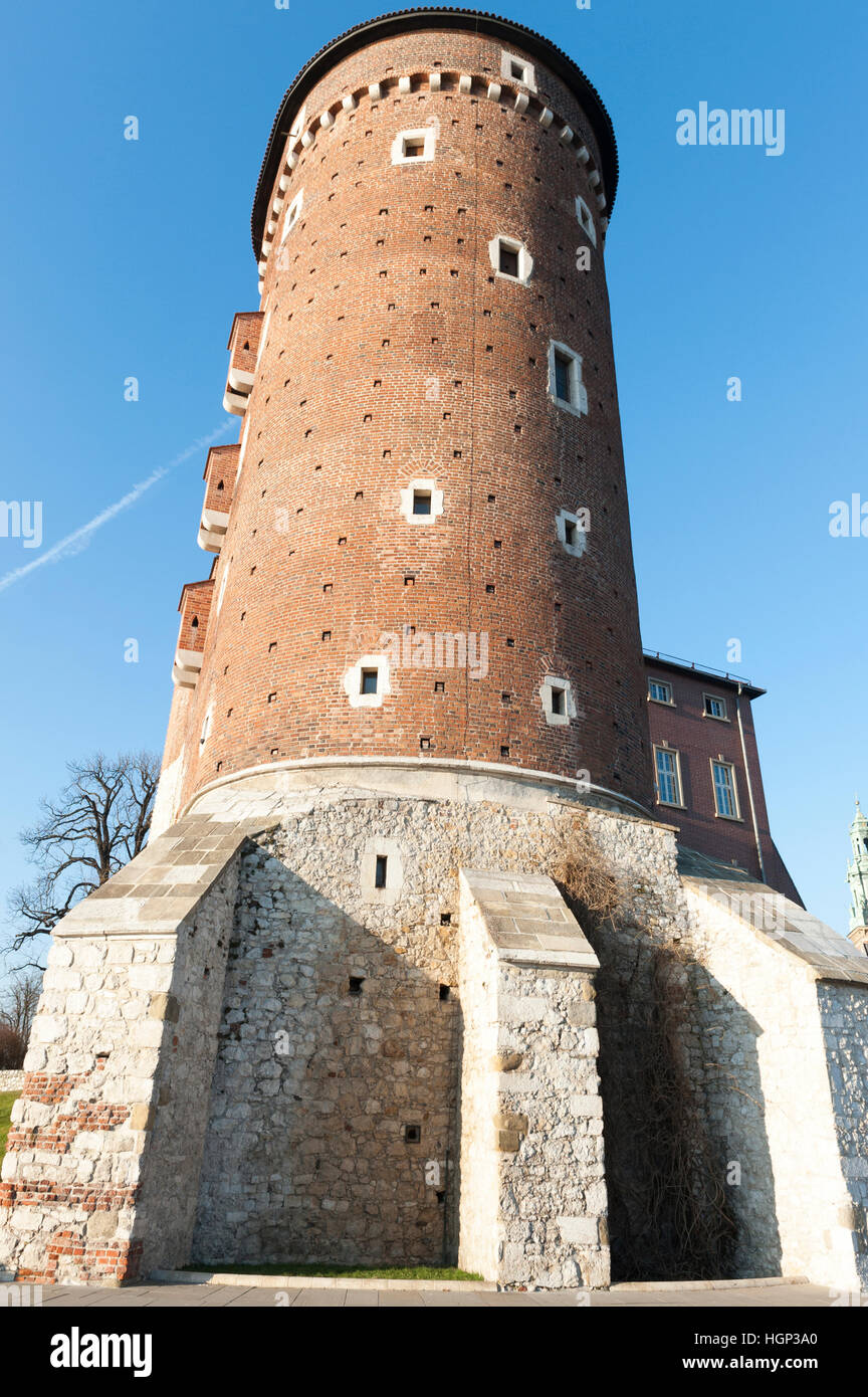 Il castello di Wawel, Cracovia in Polonia Foto Stock