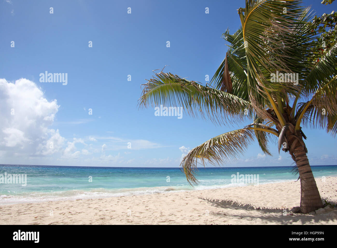 Splendido mare turchese e sabbia dorata sulla spiaggia, Falmouth, Giamaica, dei Caraibi. Foto Stock