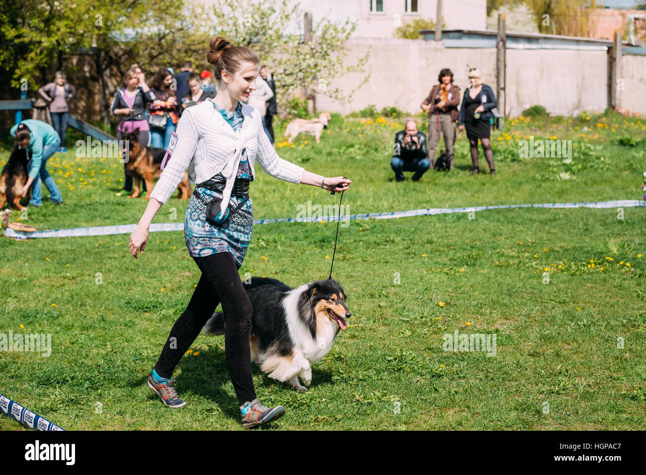 Gomel, Bielorussia - Aprile 30, 2016: Donna e Shetland Sheepdog Sheltie Collie cane visita International dog show, importante manifestazione dedicata ai cani e th Foto Stock