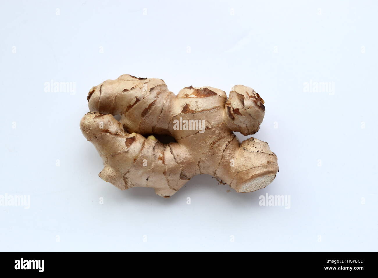 Lo zenzero o noto come Zingiber officinale Foto Stock
