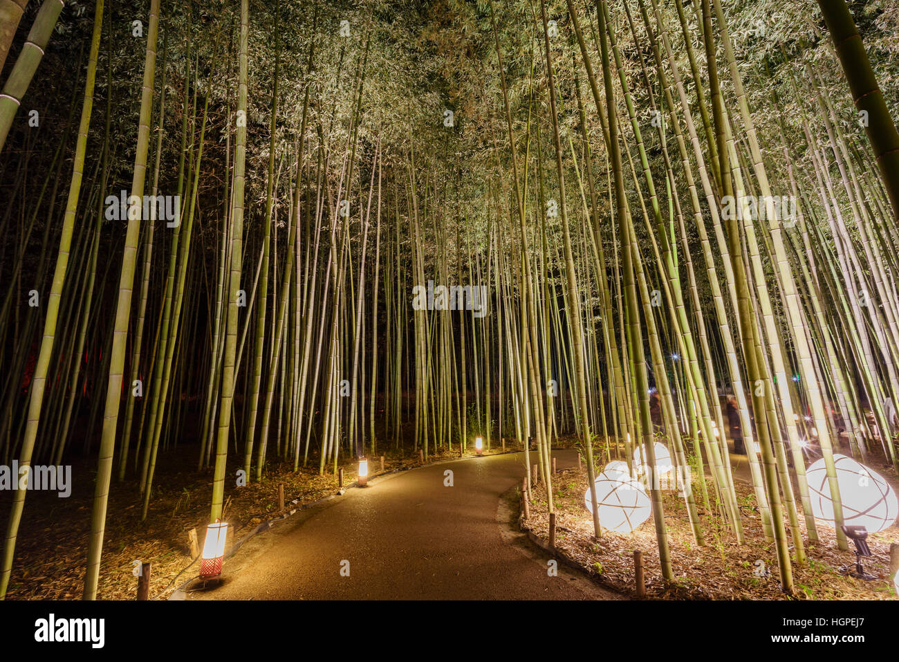 Lanterna di strada di bambù e light festival in Arashiyama zona di notte, Giappone Foto Stock