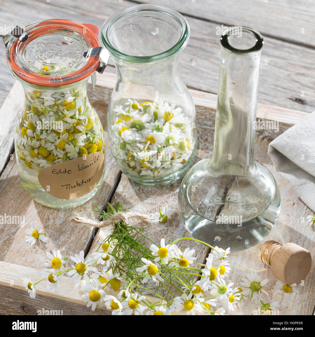 Kamillenblüten-Tinktur, Kamilleblüten-Tinktur, Kamillen-Tinktur, Kamille-Tinktur, Blüten von Kamille werden in alcol ausgezogen, alkoholischer Auszu Foto Stock