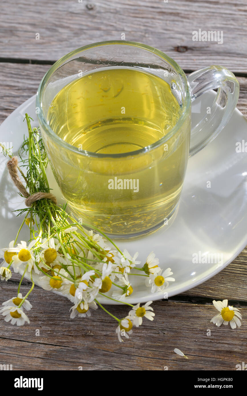 Kamillentee, Kamilletee, Kamillenblüten-Tee Kamilleblüten-Tee, Kamillen-Tee, Kamille-Tee, tee, Kräutertee, Heiltee. Echte Kamille, matricaria recutita Foto Stock