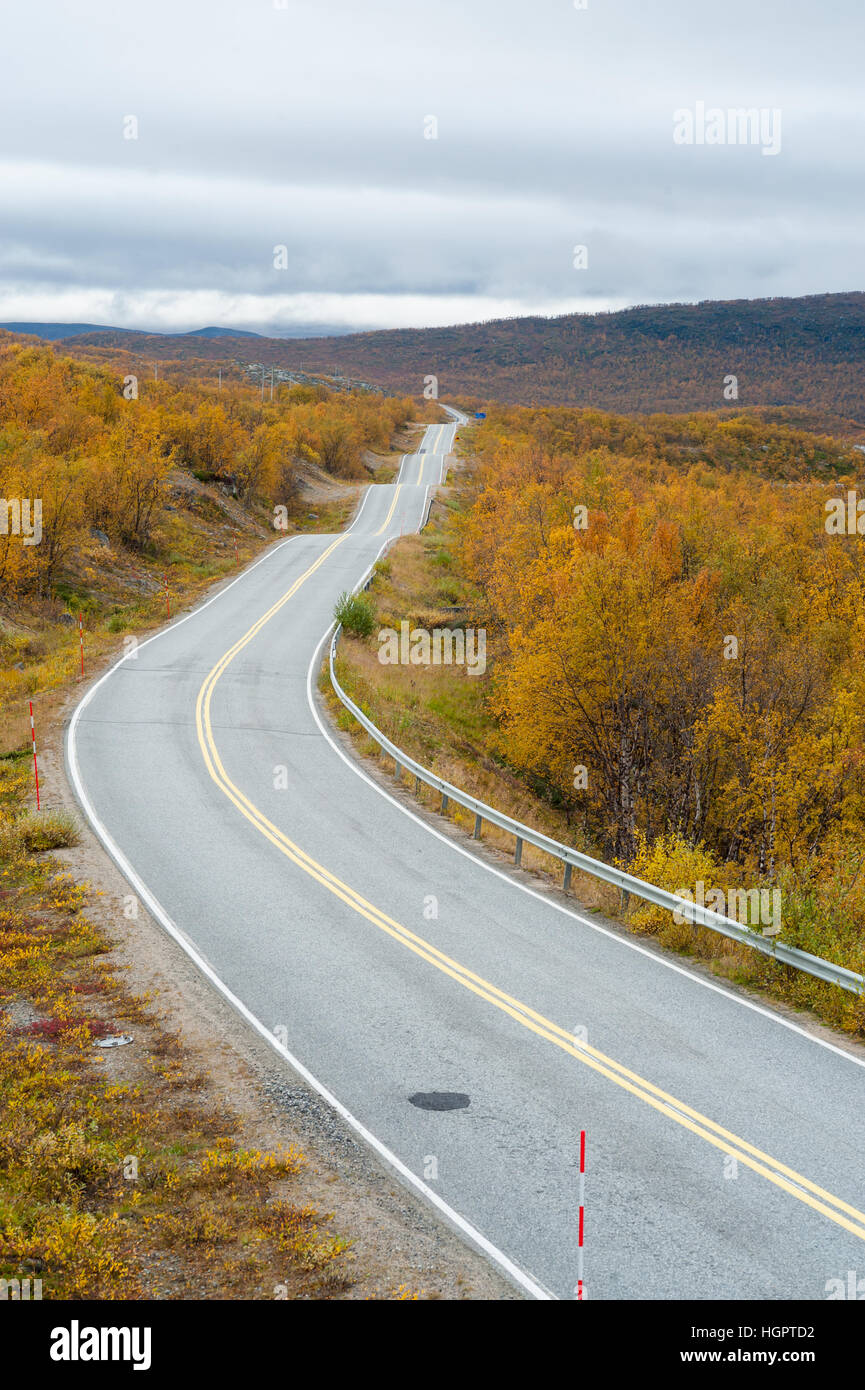 Strada vuota con bassa vegetazione sul lato nella campagna norvegese Foto Stock