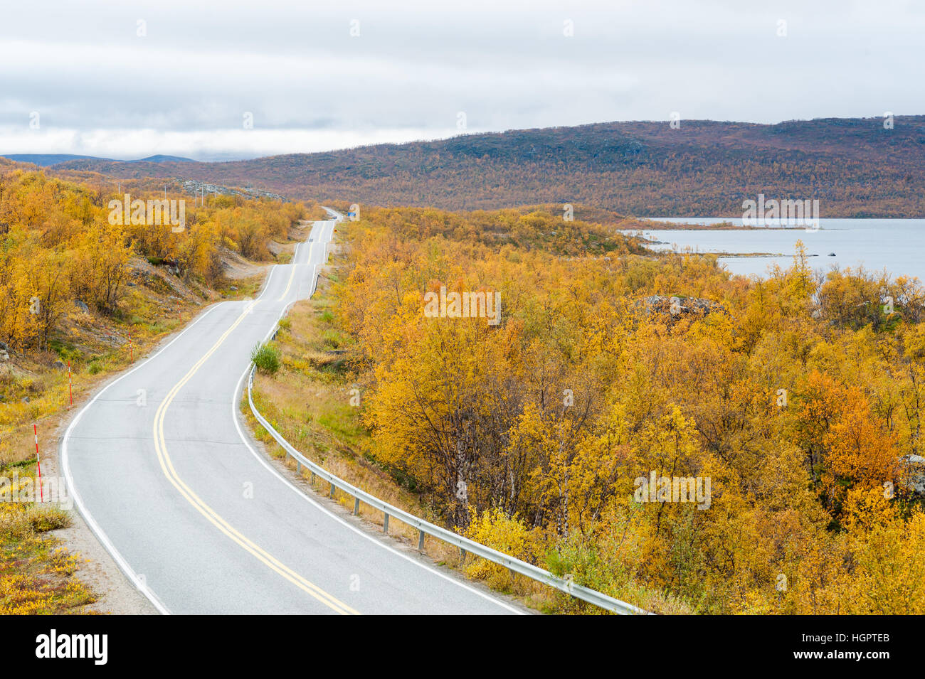 Strada vuota con bassa vegetazione sul lato nella campagna norvegese Foto Stock