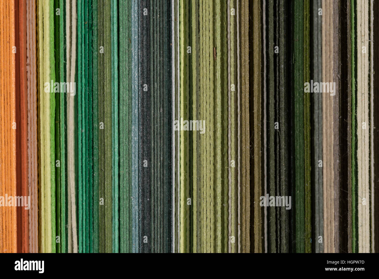 Colori estivi sul bordo frastagliato con sfumature di verde Foto Stock