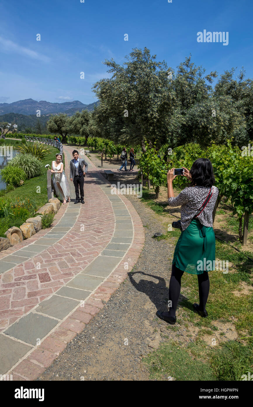 Sposi novelli, Castello di Amorosa, Calistoga, la Valle di Napa NAPA County, California Foto Stock