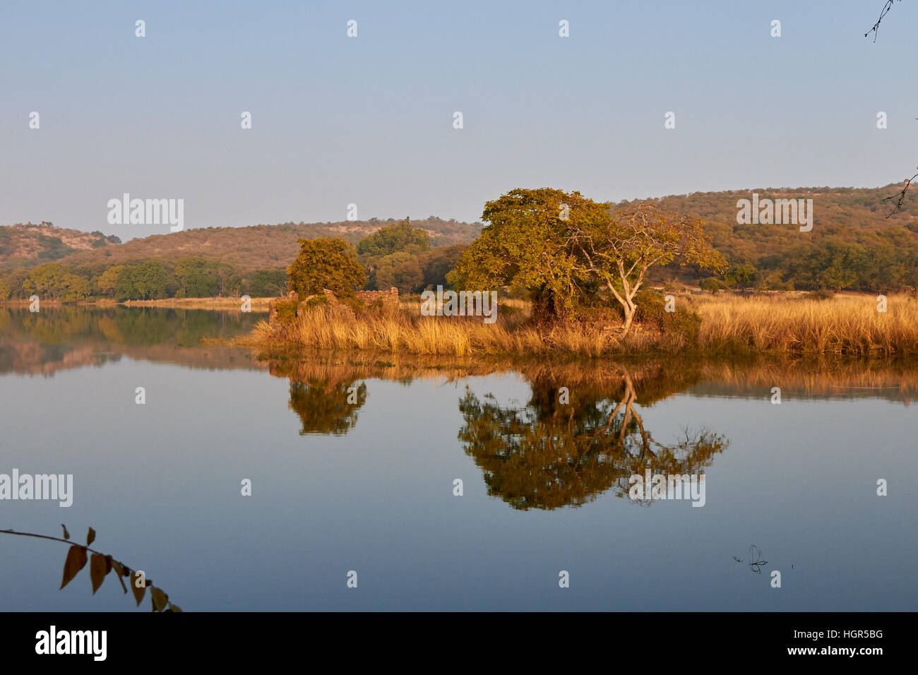 Il lago in Ranthambhore national park Foto Stock