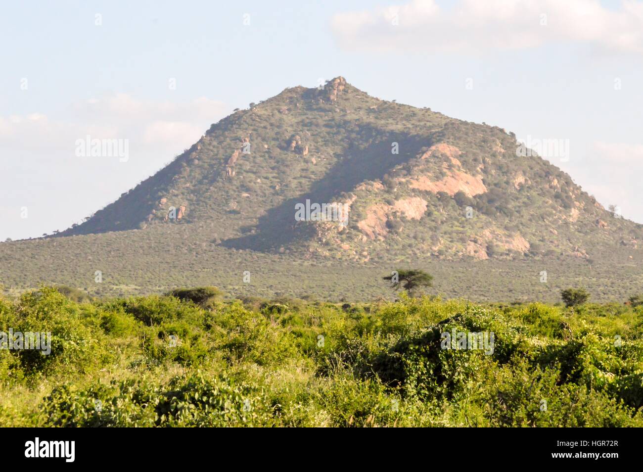 Savana Africana con una verde collina nell est del parco di Tsavo in Kenya Foto Stock