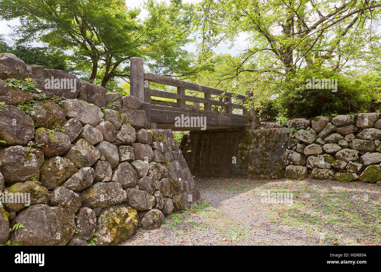 Ponte sul fosso e pareti di pietra di Echizen Ohno castello. Castello fu fondata nel 1576 da Kanamori Nagachika, smantellata nel XIX c, ricostruito Foto Stock