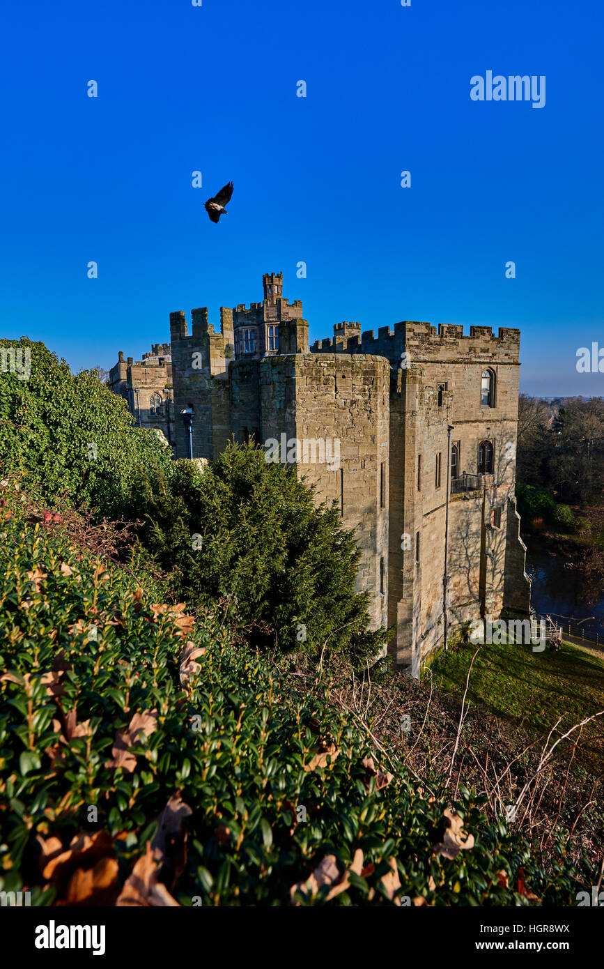 Il Castello di Warwick è un castello medievale sviluppato a partire da un originale costruita da Guglielmo il Conquistatore nel 1068. Foto Stock