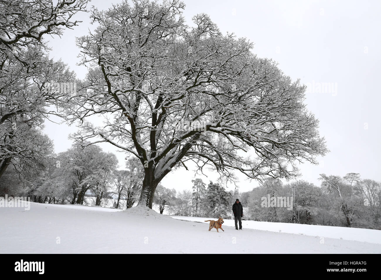 Un uomo cammina un cane nei terreni del Castello di Braco nel Pethshire, come condizioni di bizzard sono impostati per portare 'un vero gusto di inverno in tutto il Regno Unito'. Foto Stock