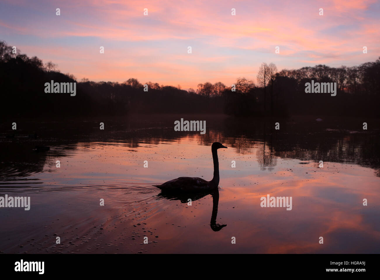 Il sole sorge sopra il lago al golden acre park in un freddo inverno mattina a Leeds, West Yorkshire. Foto Stock